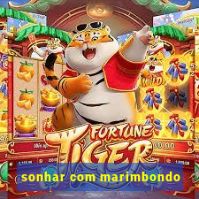 sonhar com marimbondo